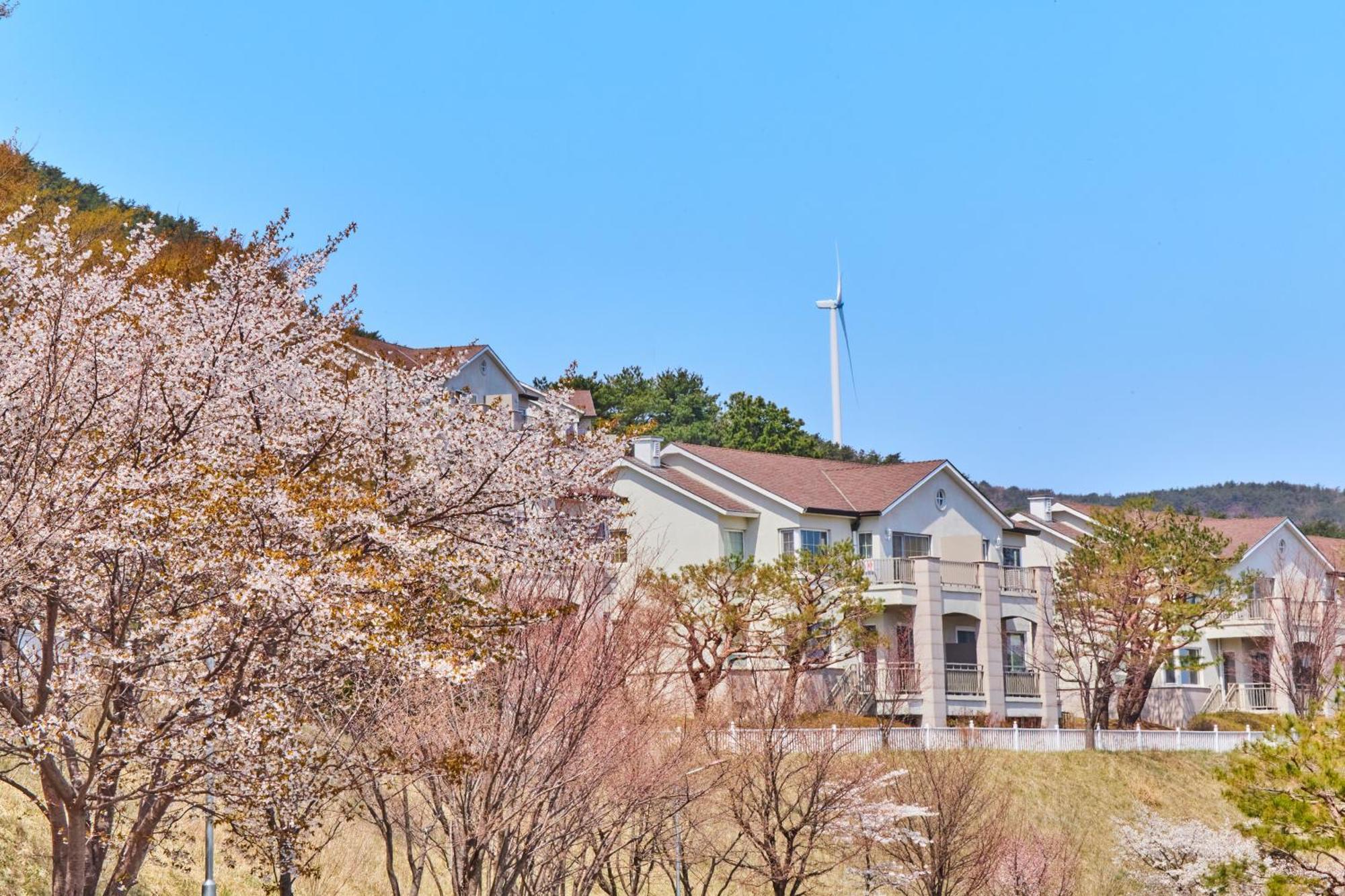 Gyeongju Mauna Ocean Resort Zewnętrze zdjęcie