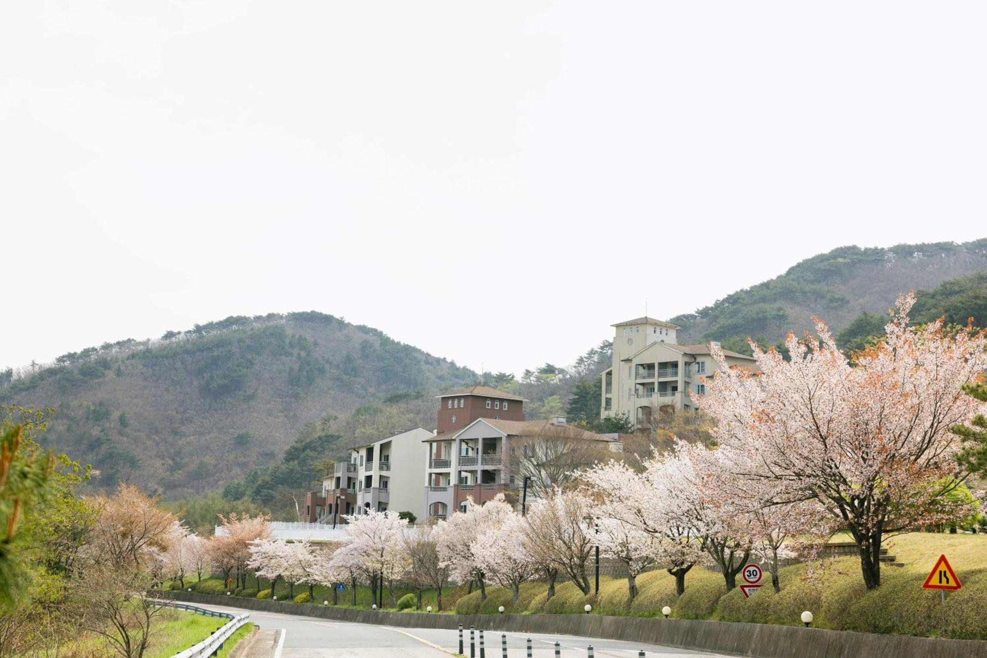 Gyeongju Mauna Ocean Resort Zewnętrze zdjęcie