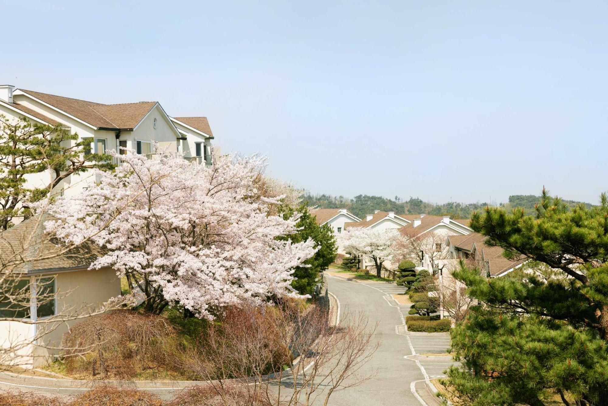 Gyeongju Mauna Ocean Resort Zewnętrze zdjęcie