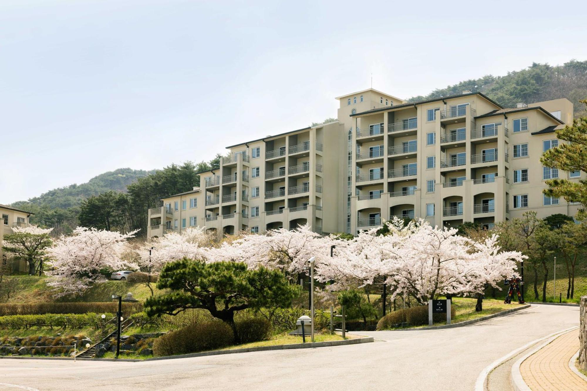 Gyeongju Mauna Ocean Resort Zewnętrze zdjęcie