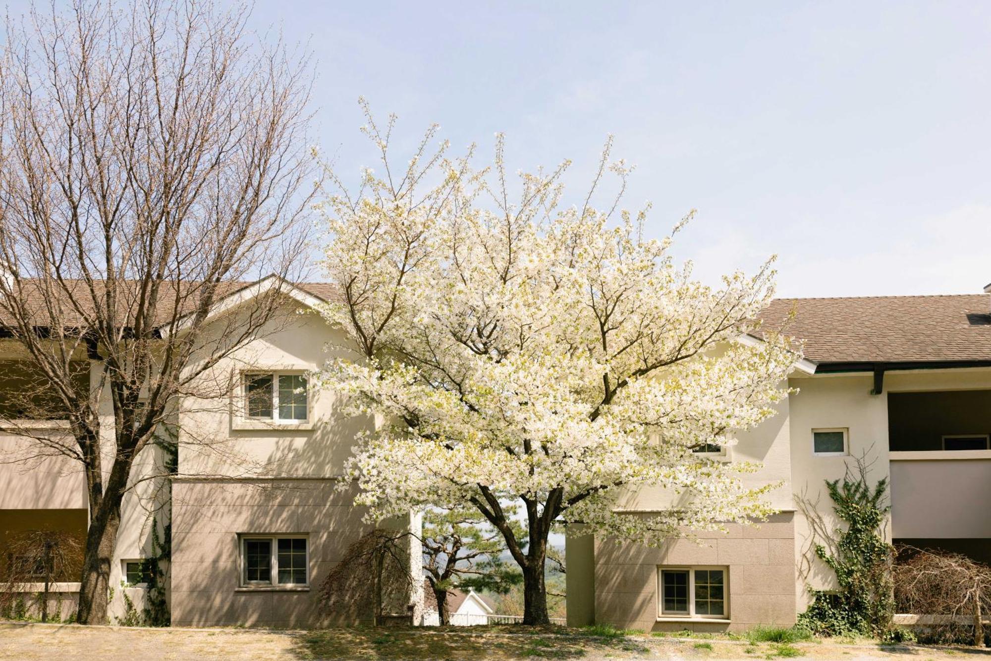 Gyeongju Mauna Ocean Resort Zewnętrze zdjęcie